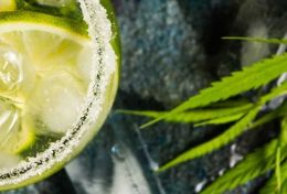 Substance Use Health